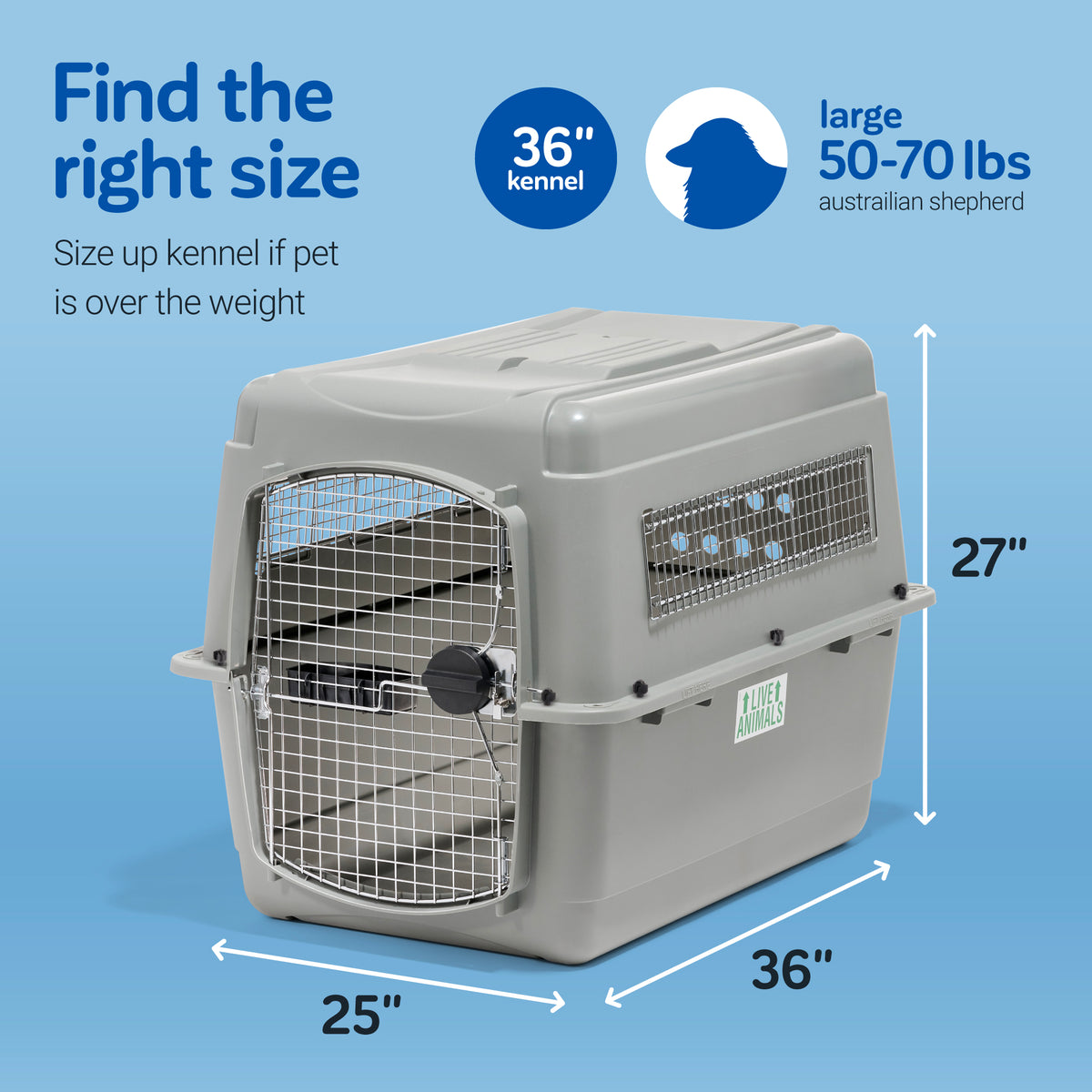 Petmate Sky Kennel For Air and Travel Dog Crate Petmate