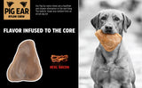 A dog grips a BarkBone Natural Instincts Nylon Pig Ear in its mouth. The toy reads Flavor Infused to the Core and Real Bacon. Designed for aggressive chewers, its a durable, healthier option than real pig ears, promoting dental health as they chew.