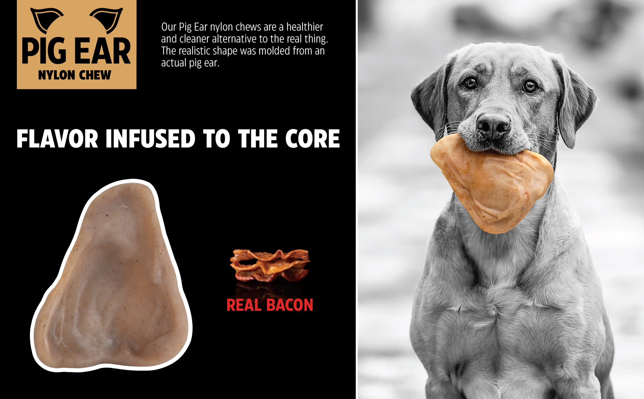 A dog grips a BarkBone Natural Instincts Nylon Pig Ear in its mouth. The toy reads Flavor Infused to the Core and Real Bacon. Designed for aggressive chewers, its a durable, healthier option than real pig ears, promoting dental health as they chew.