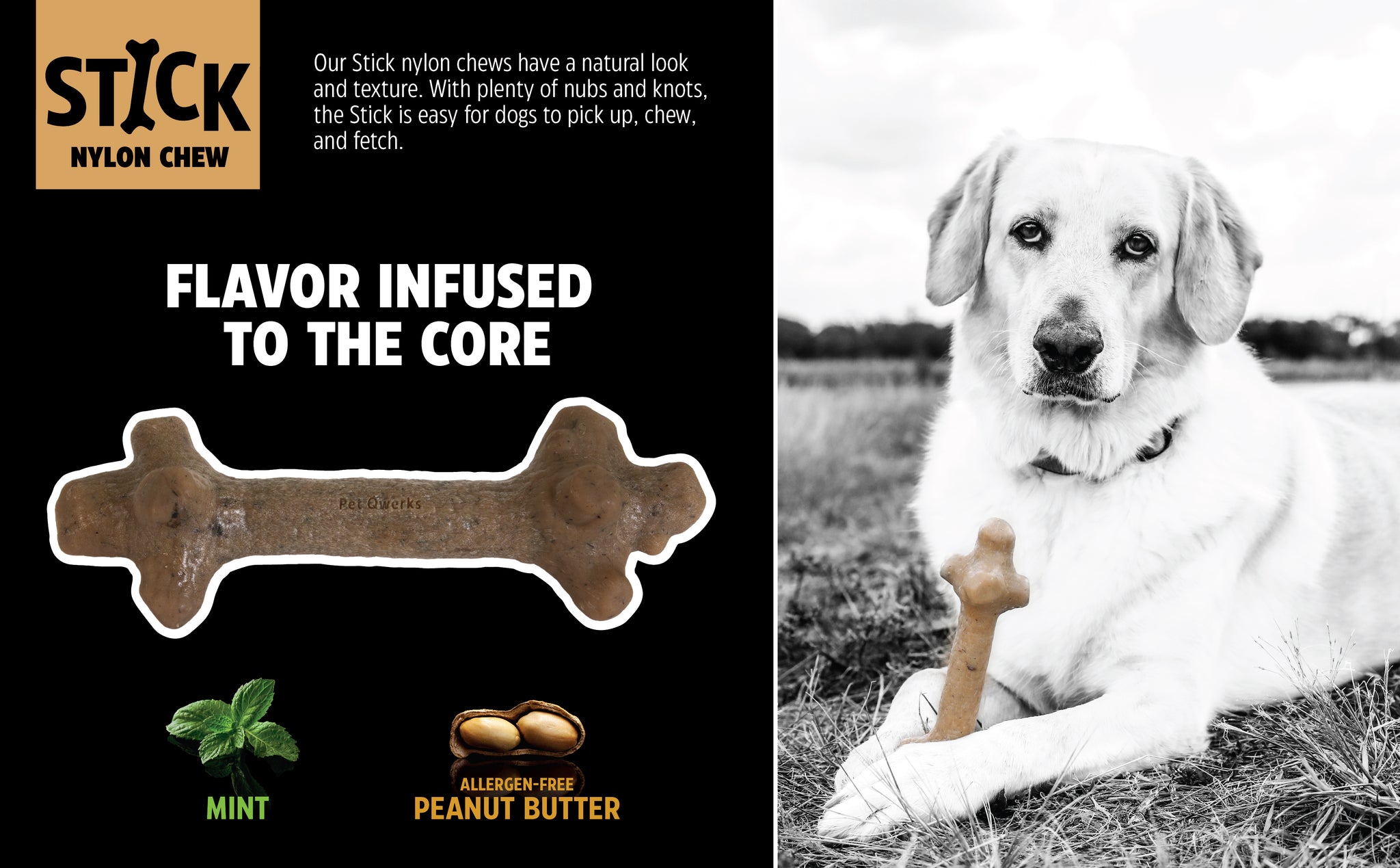 A promotional image for the BarkBone Natural Instincts Mint Infused Stick Nylon Dog Chew showcases a dog with a bone-shaped toy, emphasizing its natural appearance, mint and peanut butter flavors, allergen-free ingredients, and ease of handling for dogs while chewing or fetching.
