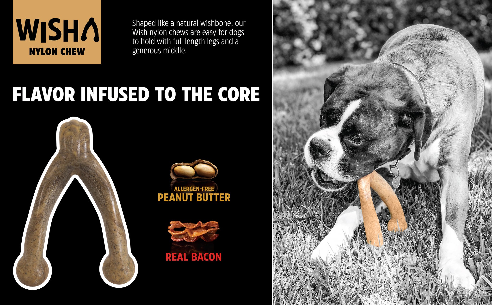 A black and white image shows a dog enjoying a BarkBone Natural Instincts Wishbone Peanut Butter-Infused Nylon Dog Chew. Known for its durable design, the toy features full-length legs and a wide middle for easy gripping during play from Barkbone Natural Instincts.