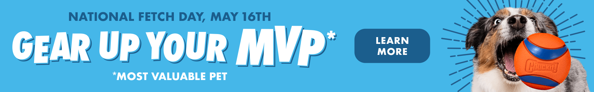Chuckit! National Fetch Day