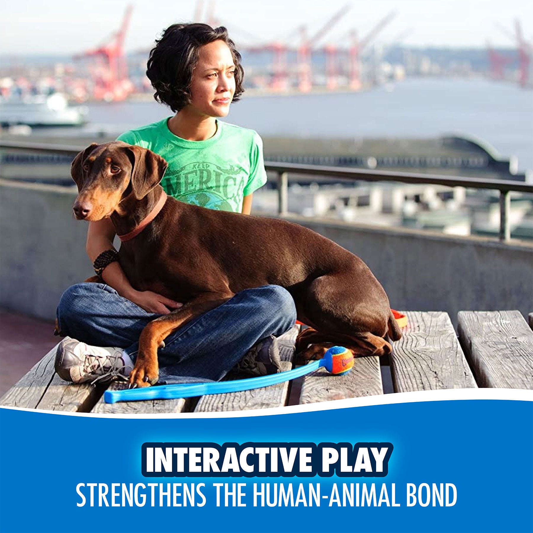 A person in a green shirt sits on a bench with their brown Doberman, holding the Chuckit! Pro Launcher featuring an ergonomic grip handle. The outdoor scene, overlooking the bay and cranes, highlights how interactive play with Chuckit enhances the human-animal bond through fetch games.