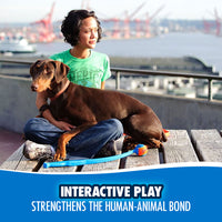 A person in a green shirt sits on a bench with their brown Doberman, holding the Chuckit! Pro Launcher featuring an ergonomic grip handle. The outdoor scene, overlooking the bay and cranes, highlights how interactive play with Chuckit enhances the human-animal bond through fetch games.