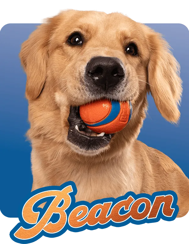 Beacon Hover