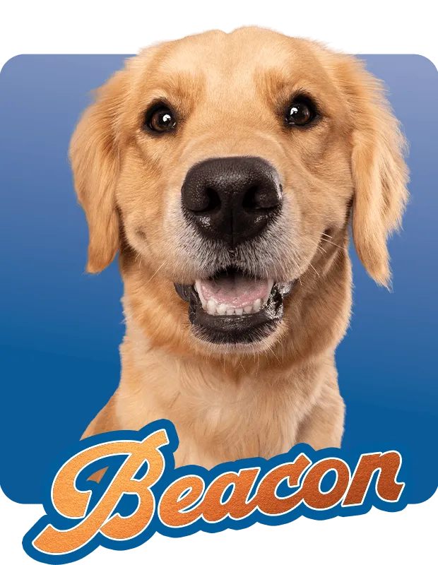 Beacon