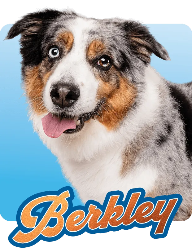 Berkley