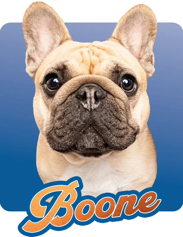 Boone Hover