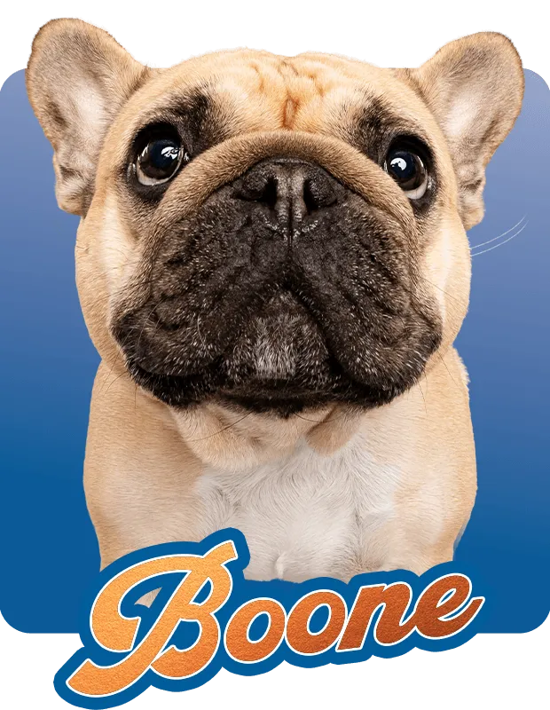 Boone