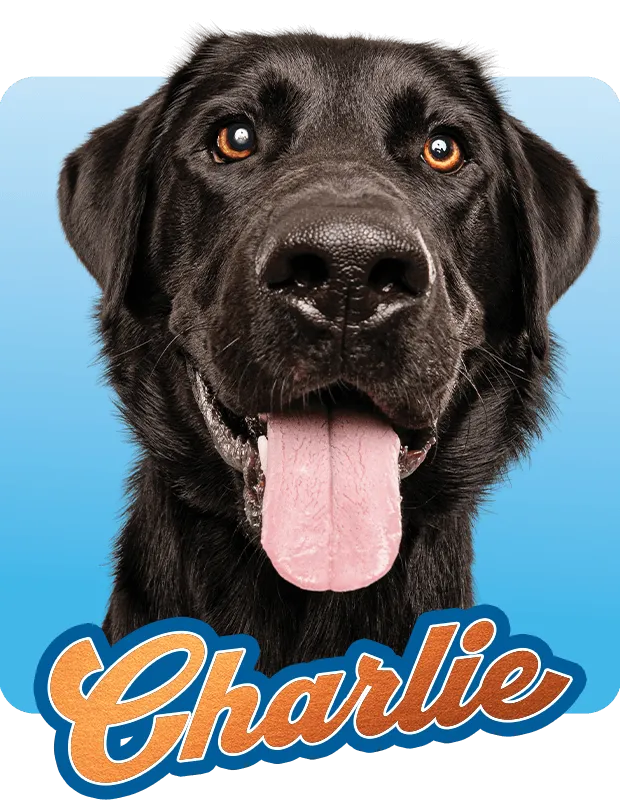 Charlie