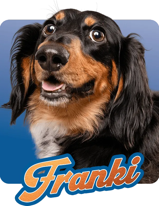 Franki Hover