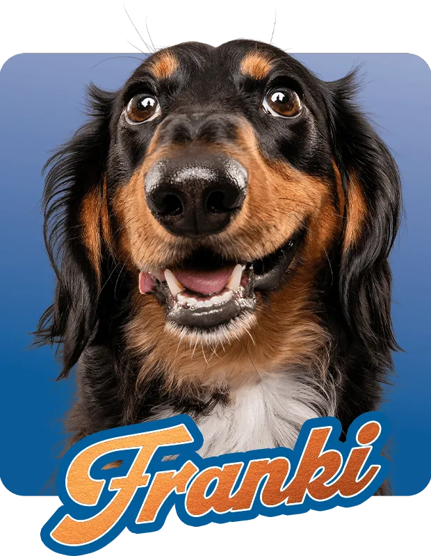 Franki