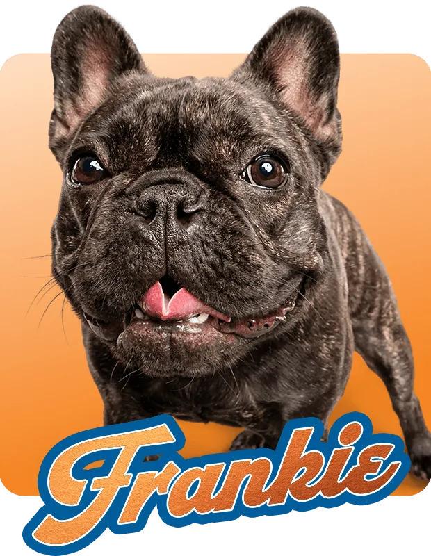 Frankie Hover
