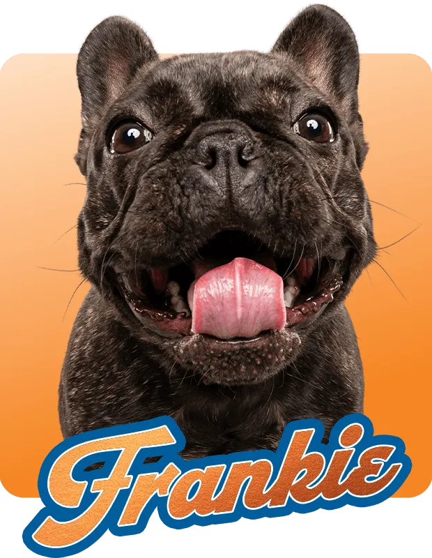 Frankie