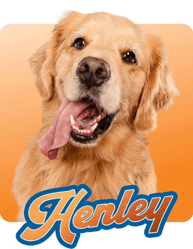 Henley
