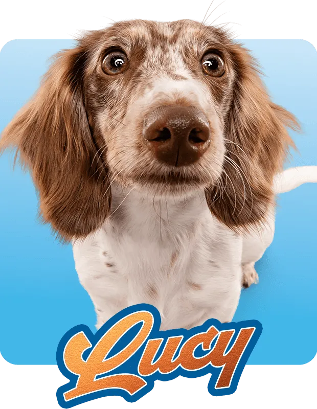 Lucy Hover