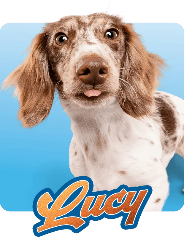 Lucy