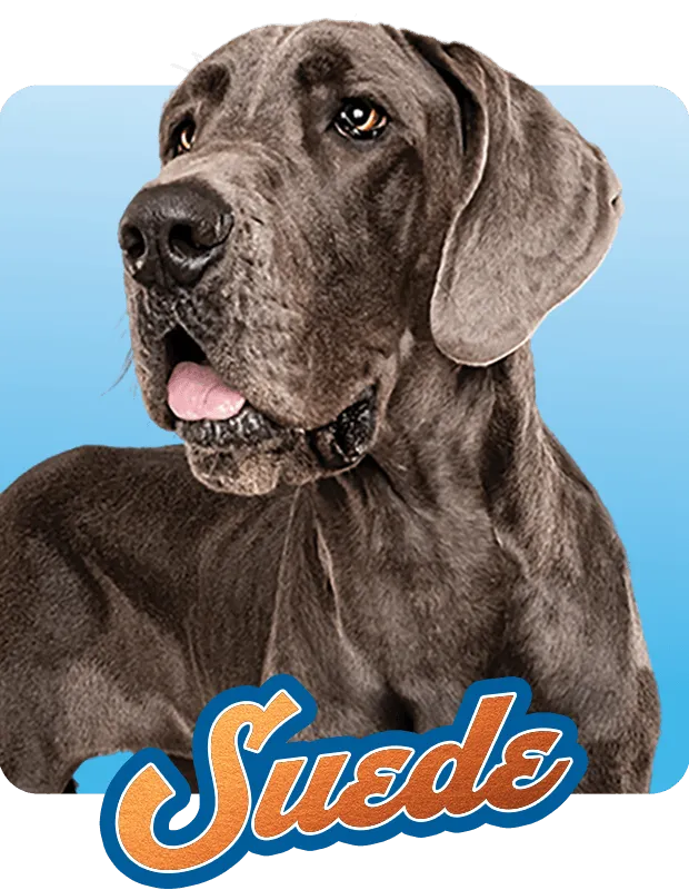 Suede