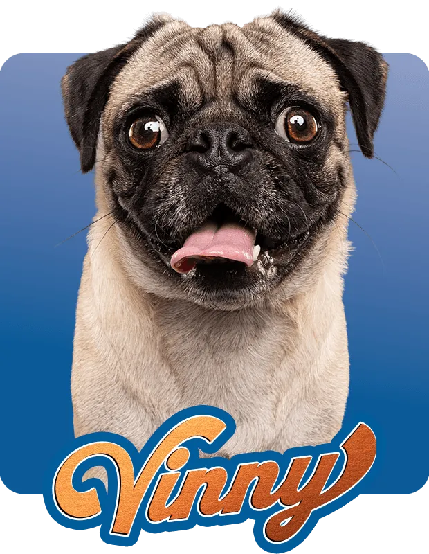 Vinny Hover