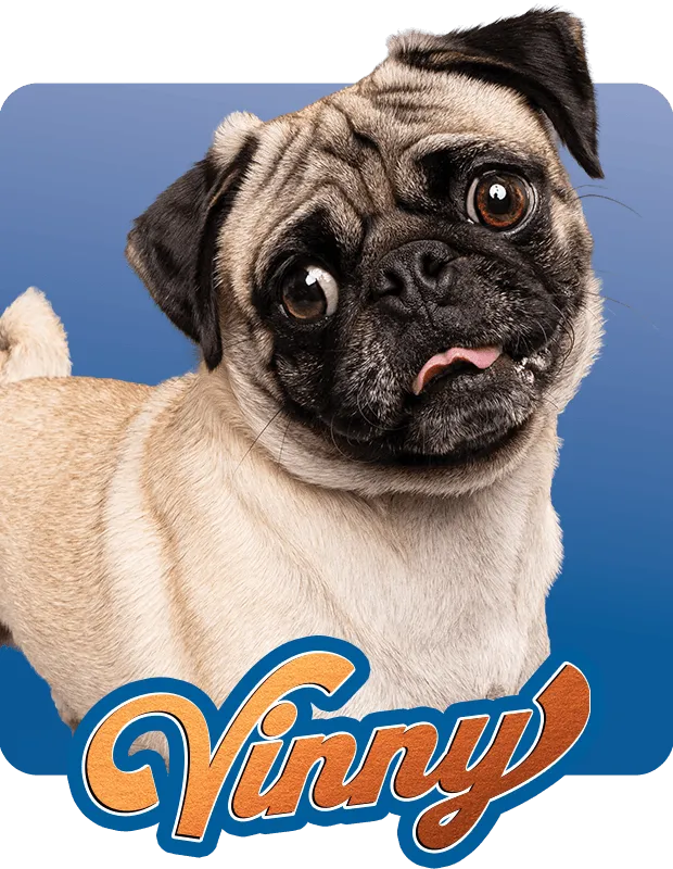 Vinny