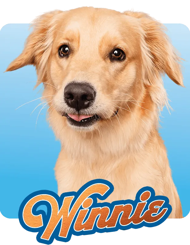 Winnie