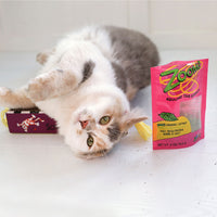 A cat rests beside an open box and a pink bag of FAT CAT Zoom Around The Room Organic Catnip by Fatcat, with wide eyes, entranced on a white surface.