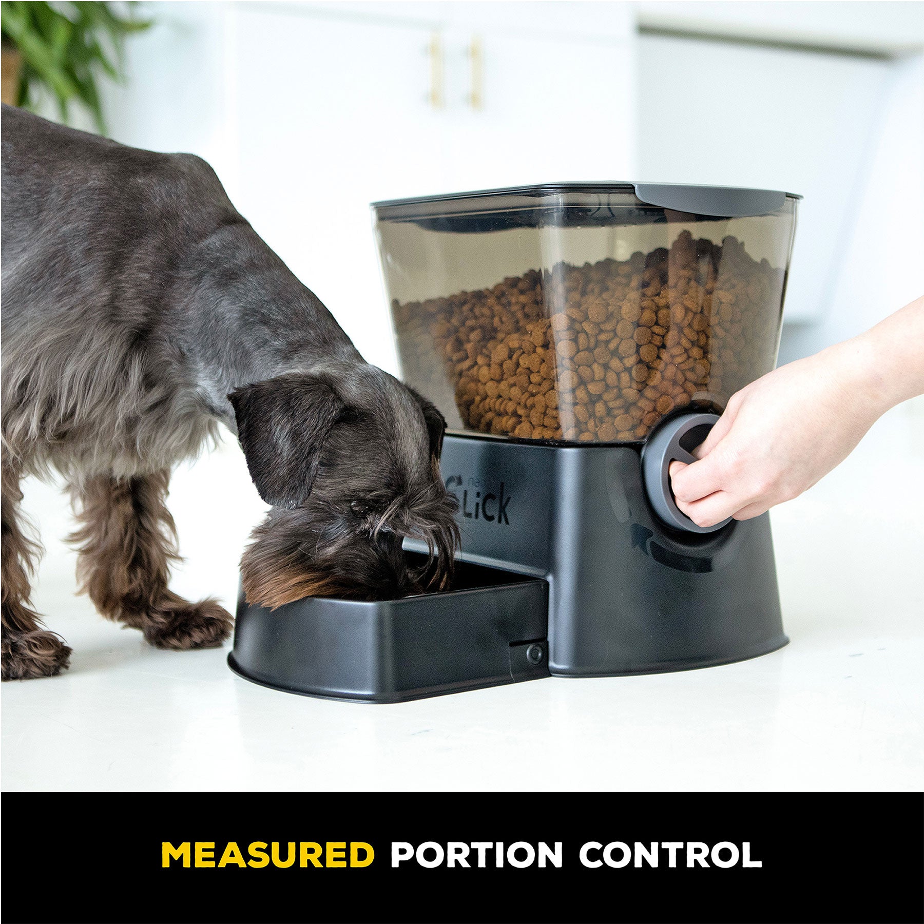A dog eats kibble from a bowl linked to the sleek Gamma2 Nano Click Manual Pet Feeder. A hand adjusts a dial with advanced Nano Click technology, showing Measured Portion Control at the bottom.