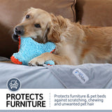 A golden retriever rests on a brown couch, playfully chewing a blue and orange toy. Below, a gray protector with the PetFusion logo reads: PetFusion Premium Reversible Micro Plush Dog Blanket protects furniture & pet beds from scratching, chewing, and unwanted pet hair.