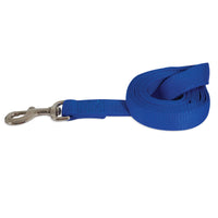 The Petmate Standard Core Nylon Dog Leash is a coiled blue leash crafted from durable nylon webbing, featuring a silver metal clasp.