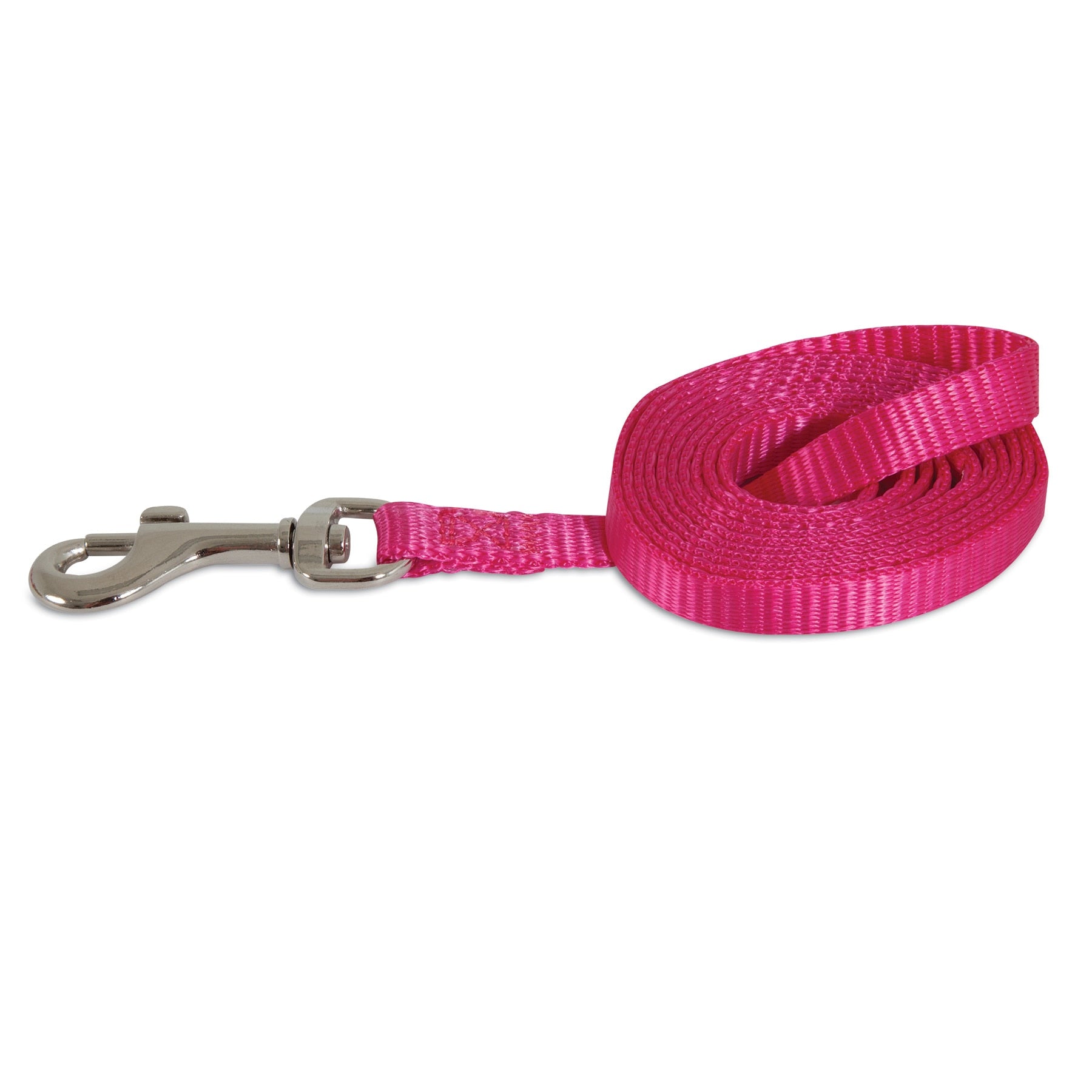 Petmate Standard Core Nylon Dog Leash, in pink color, features a durable silver metal clasp and is made from rolled-up nylon webbing.