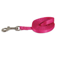 Petmate Standard Core Nylon Dog Leash, in pink color, features a durable silver metal clasp and is made from rolled-up nylon webbing.
