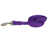 The Petmate Standard Core Nylon Dog Leash is a durable, coiled purple leash featuring sturdy hardware and a metal clasp at one end.
