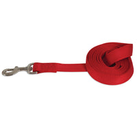 The Petmate Standard Core Nylon Dog Leash, by Petmate, is a red leash made from durable nylon webbing, neatly coiled next to a sturdy metal clasp.