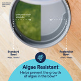 A top-down comparison after three weeks: a standard bowl has green algae, but the Petmate Replendish 0.5 Gallon Filtered Pet Waterer with Gravity Refill stays clear, highlighting its algae-resistant feature for healthier pet hydration.