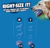 A Chuckit! Squeaker Tennis Ball is held by a dog against a blue background. Text suggests using Medium (2.5 in) balls for dogs 20-60 lbs and Small (2 in) for 0-20 lbs. Ideal for fetch, silhouettes include Golden Retriever, Boxer, Jack Russell Terrier, Chihuahua. Available as a 2-pack by Chuckit!.
