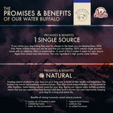 An infographic titled The Promises & Benefits of Wild Eats 6 Water Buffalo Tails highlights the natural texture and benefits of single-source products, such as reduced bacteria risk, no added hormones, and dental health promotion. Logos of Wild Eats and Water Buffalo are prominently displayed.