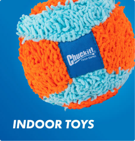 Indoor Toys