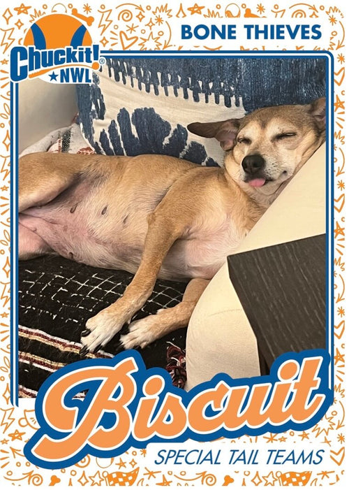 Fetch squad card