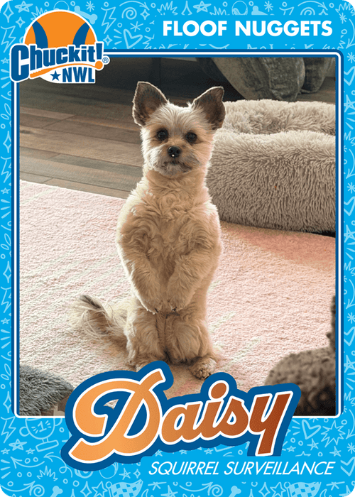 Fetch squad card