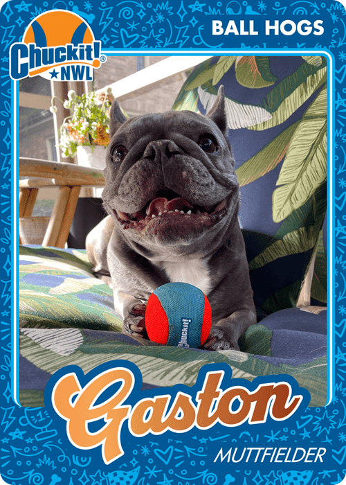 Fetch squad card