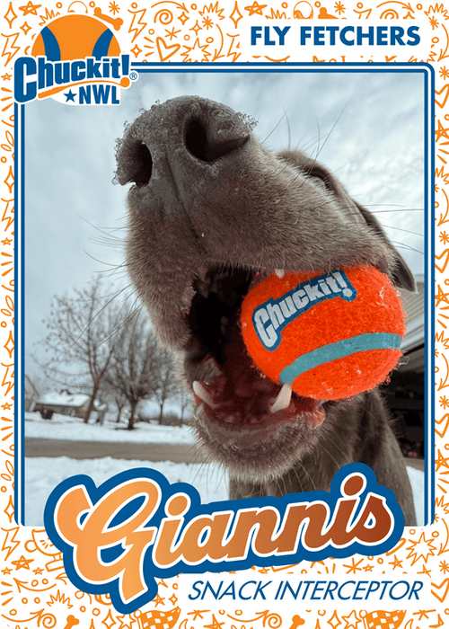 Fetch squad card
