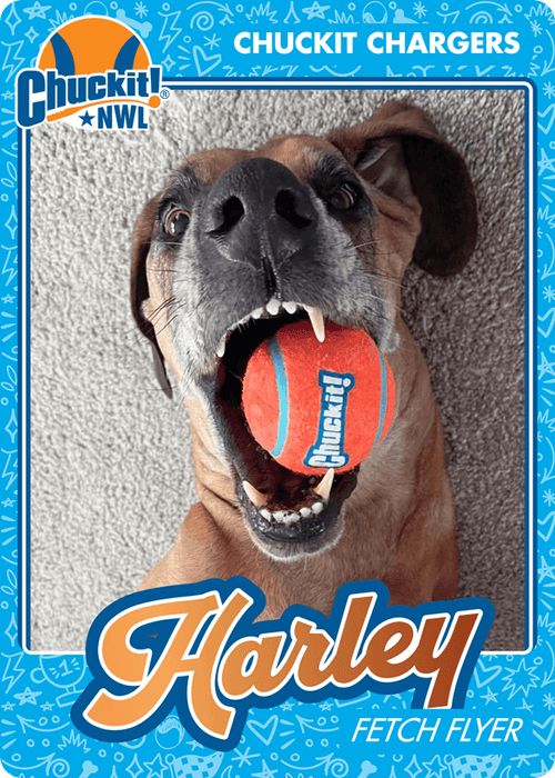 Fetch squad card