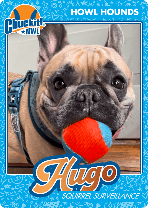 Fetch squad card
