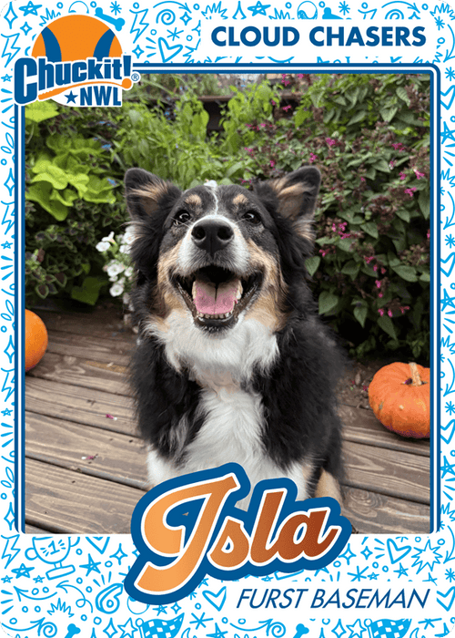 Fetch squad card