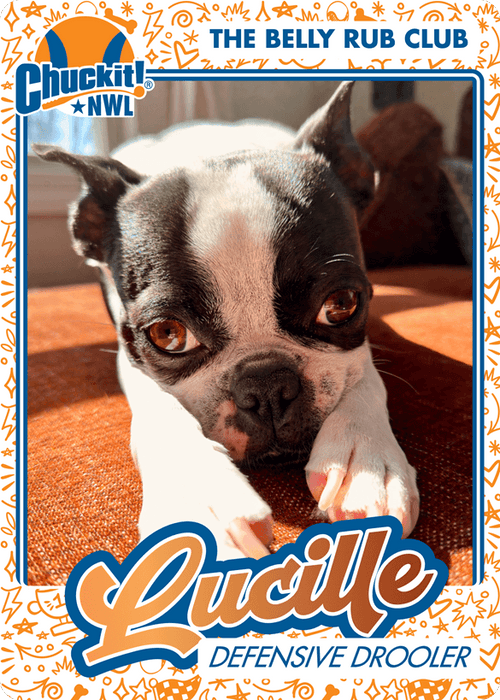 Fetch squad card