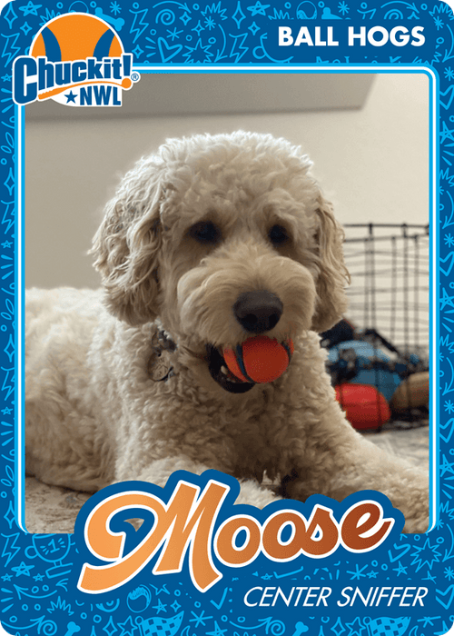 Fetch squad card
