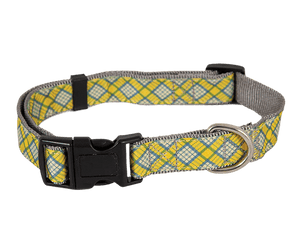 Collars, Leashes & Harnesses