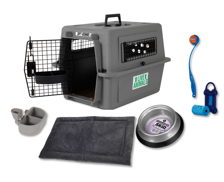 The Petmate Essential New Dog Bundle by Petmate, shown on a white background, includes a gray pet carrier with an open metal door, food and water bowls, kennel mat, metal dish, blue chew toy, and a dog ball launcher with orange ball.
