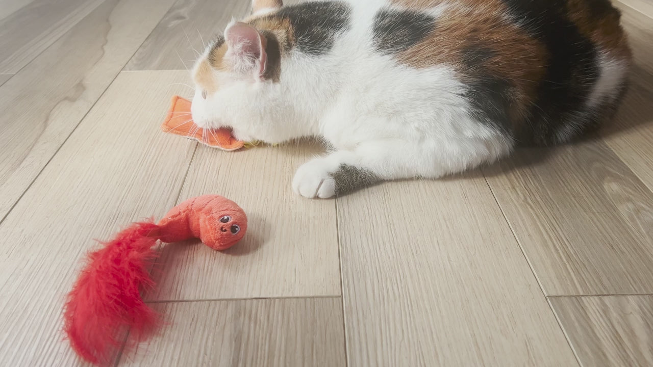 Quirky Kitty Ramen Catnip Plush Cat Toy – Petmate