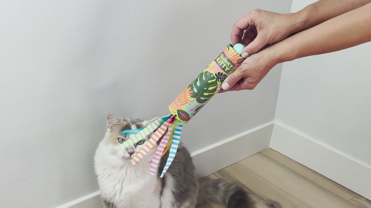 Quirky Kitty® Peek and Pounce Wand Cat Toy | Petmate